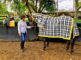 5’11" Combo Rug (Black, Blue Or Green)