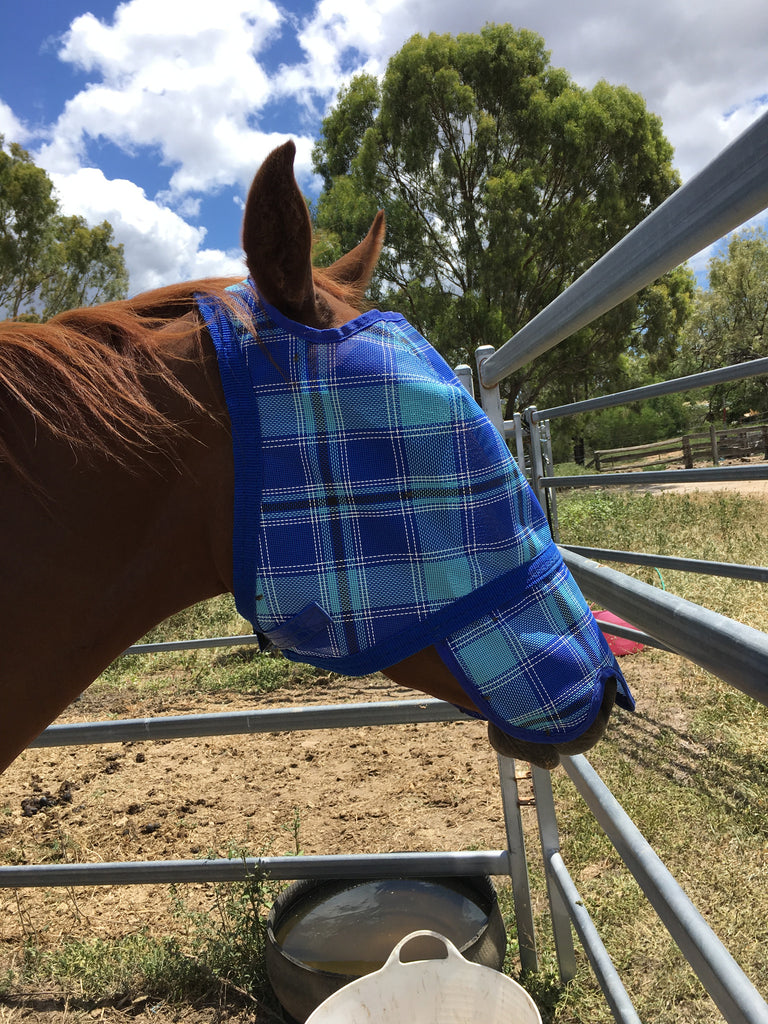 Fly Mask with Open Nostril Nose Flap Kallas Horse Hardware