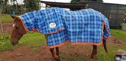 Blue and Orange Combo Rug
