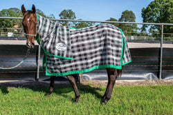 Black and Green Combo Rug