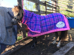 Purple and Pink Combo Rug